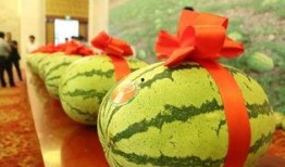 宁将军吃瓜,一场别开生面的军营生活