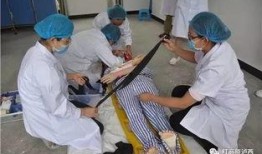 舒城吃瓜群众事件,一场网络舆论的风暴与反思