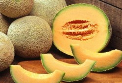 二胖吃哈密瓜,甜蜜滋味与健康生活的完美邂逅