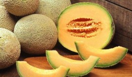 二胖吃哈密瓜,甜蜜滋味与健康生活的完美邂逅