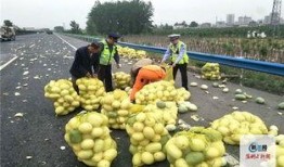 吃瓜盟主河南,吃瓜盟主带你领略中原美食风情