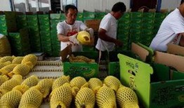 吃瓜渠道,吃瓜群众带你领略幕后风云