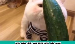 真的怕吃瓜,真的怕吃瓜背后的真相