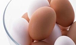 吃瓜娃娃吃鸡蛋,吃瓜娃娃的鸡蛋奇遇记