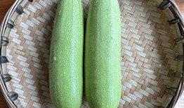 嫩玉瓜怎么吃,探索美味与营养的完美融合