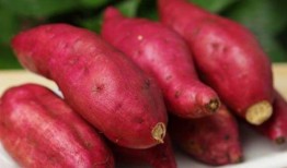 吃个地瓜吧吃地瓜挖瓜吃,从吃个地瓜吧到挖瓜吃，一场味蕾的奇妙之旅