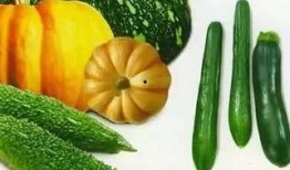 菲娘吃瓜,揭秘娱乐圈背后的那些事儿