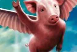 吃瓜跑山猪,揭秘农村生活的趣味瞬间