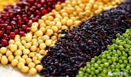 吃瓜尔豆种子有什么用处,多功能用途的天然宝库