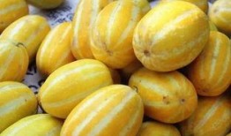 吃瓜曝光什么意思,吃瓜曝光背后的真相与内幕