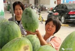 孝感小区吃瓜,邻里吃瓜，共享欢乐时光