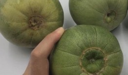 吃甜瓜怎么挑瓜,教你轻松挑出美味佳品