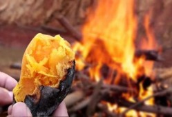 农村小孩吃烤瓜,农村小孩的烤瓜时光