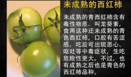 吃瓜有风险哦,揭秘网络舆论背后的风险与真相