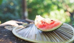 多鱼吃瓜,揭秘娱乐圈背后的那些事儿