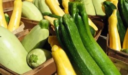 吃瓜多种视频,揭秘热门视频背后的故事