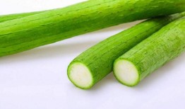 适合老人吃的面瓜,专为老人定制的面瓜食谱