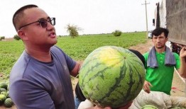 王纪超吃瓜,揭秘娱乐圈幕后故事