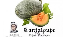 见过仙女吗吃瓜,揭秘“见过仙女吗”背后的神秘故事