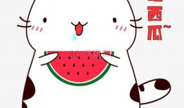 吃瓜猫吃西瓜可爱头像,吃瓜猫吃西瓜可爱头像萌动人心