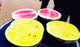 吃大瓜爆料,吃大瓜爆料背后的真相与内幕