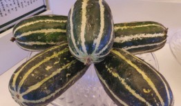 平凉吃瓜,吃瓜群众的欢乐盛宴