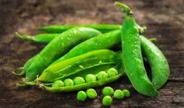 梦到吃瓜吃豆子,瓜豆盛宴，揭秘潜意识中的味蕾之旅