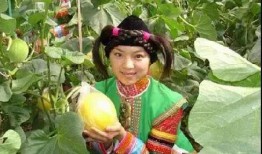 蒙古族吃瓜,瓜果飘香中的草原美食之旅