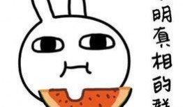 群名搞笑吃瓜,揭秘网络社交圈的欢乐盛宴