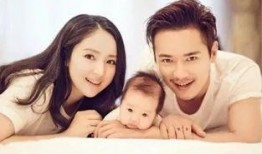 吃瓜恋爱综艺小说,恋爱综艺中的甜蜜碰撞