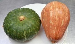 吃大瓜降血压,天然食材助力健康生活