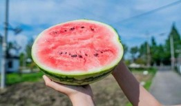 打卡孟子吃瓜,一场关于智慧与人生的哲学盛宴