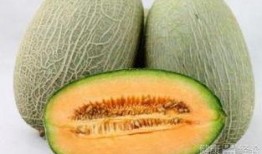 哈密瓜哈密瓜怎么吃,解锁夏日清新口感