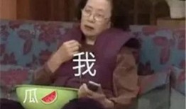 依依吃瓜合集,揭秘娱乐圈那些不为人知的幕后故事
