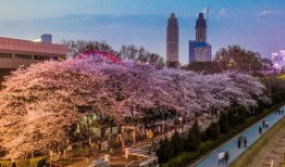 抖音吃瓜鹿泉,揭秘网红美食背后的故事