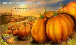 吃瓜的ppt模板,PPT模板中的趣味解读