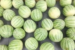 吃瓜爆料真实吗