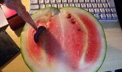 奇哥吃瓜,揭秘娱乐圈幕后故事