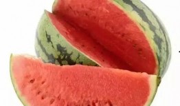 吃瓜有瓜,一场关于瓜果的趣味探索之旅