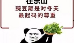 冬天吃瓜娃子,冬天吃瓜娃子的温馨时光